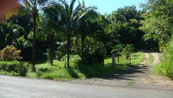 CityMax Vende finca en Guanacaste, Belén de Nicoya, 3 hectáreas