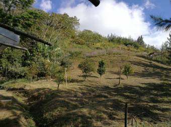 CityMax vende terreno Agrícola de 5071 m en Tobosi de Cartago 
