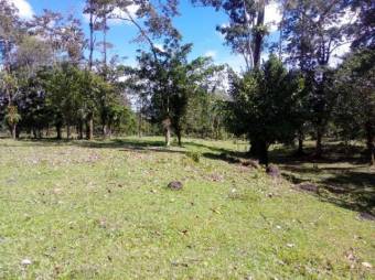 Excelente finca plana en Venta,   Toro Amarillo          CG-20-657