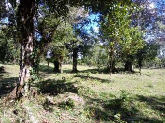 Excelente finca plana en Venta,   Toro Amarillo          CG-20-657