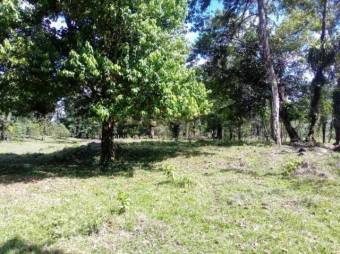 Excelente finca plana en Venta,   Toro Amarillo          CG-20-657