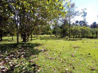 Excelente finca plana en Venta,   Toro Amarillo          CG-20-657