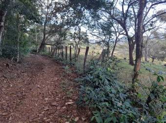 Property for sale in Puriscal