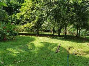 Lote en Venta en Sarapiquí, Heredia. RAH 23-1470