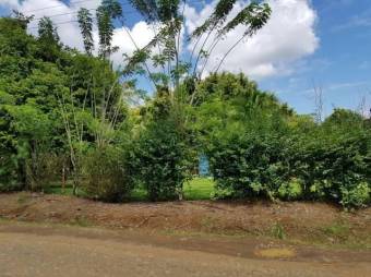 Lote en Venta en Sarapiquí, Heredia. RAH 23-1470