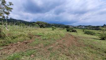 Lote en Venta en Alajuela. RAH 23-1667