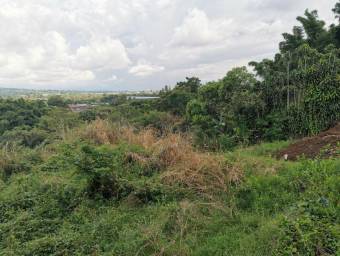 Lote en Venta en Santa Bárbara, Heredia. RAH 23-1638