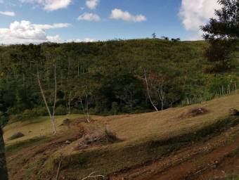 Lote en Venta en Turrialba, Cartago. RAH 23-1657