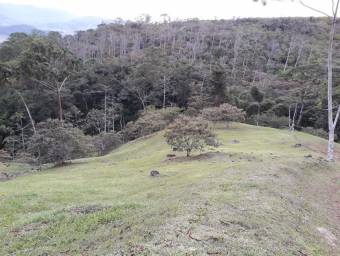 Lote en Venta en Turrialba, Cartago. RAH 23-1657