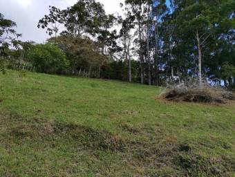 Lote en Venta en Turrialba, Cartago. RAH 23-1657