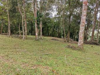 Lote en Venta en Turrialba, Cartago. RAH 23-1657