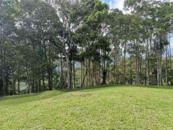 Lote en Venta en Turrialba, Cartago. RAH 23-1657