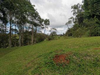 Lote en Venta en Turrialba, Cartago. RAH 23-1657