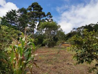 Lote en Venta en El Guarco, Cartago. RAH 23-1572