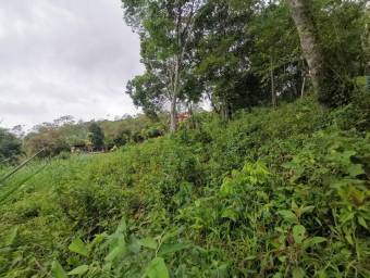 Lote en Venta en Turrialba, Cartago. RAH 23-1698