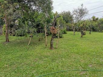 MLS-23-1631 VENTA CASA TURRIALBA CENTRO 