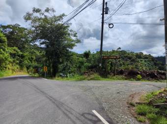 Lotes / Terreno En Acosta, San José