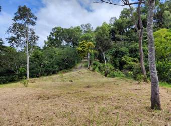 Lotes / Terreno En Acosta, San José