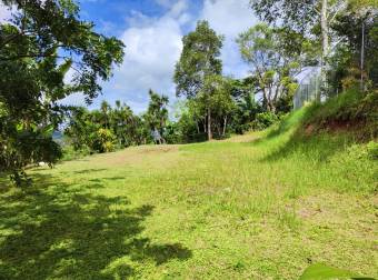 Lotes / Terreno En Acosta, San José