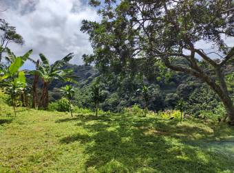 Lotes / Terreno En Acosta, San José