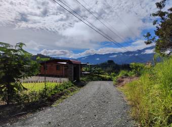 Lotes / Terreno En Acosta, San José