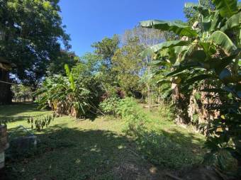 Se vende casa con gran lote de mas de 3000m2 en San Mateo de Alajuela 24-1104