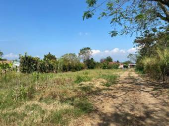 Se vende gran lote de 25,900m2 en Guácima de Alajuela 24-1095