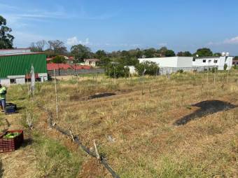 Se vende gran lote de 25,900m2 en Guácima de Alajuela 24-1095