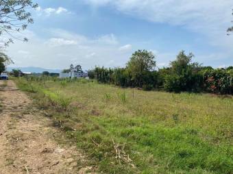 Se vende gran lote de 25,900m2 en Guácima de Alajuela 24-1095