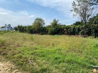 Se vende gran lote de 25,900m2 en Guácima de Alajuela 24-1095