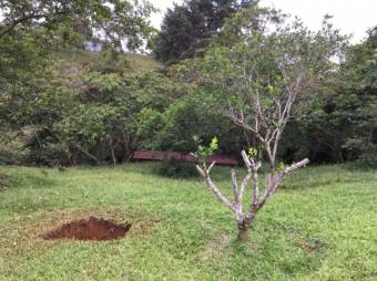 Venta de Lote  1 Casa y 2 Cabañas en Turrialba, Cartago. RAH 25-1057