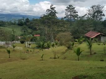 Venta de Finca en Turrialba, Cartago. RAH 25-1070 