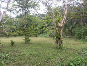 Venta de Lote en Tárcoles, Puntarenas. RAH 25-1077