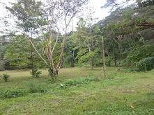 Venta de Lote en Tárcoles, Puntarenas. RAH 25-1077