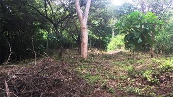 Lot with electricity letter near Playa Tamarindo