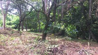 Lot with electricity letter near Playa Tamarindo