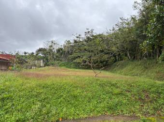 VENTA DE LOTE , ALAJUELA, SAN RAMON, RESIDENCIAL, VISTAS DEL VALLE  