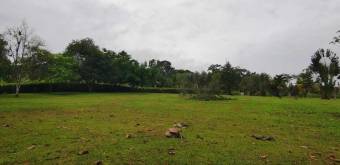 MLS-25-607 VENTA LOTE DE 9.800M2 GUACIMO LIMON 