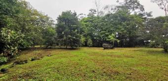 MLS-25-607 VENTA LOTE DE 9.800M2 GUACIMO LIMON 