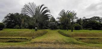 MLS-25-607 VENTA LOTE DE 9.800M2 GUACIMO LIMON 