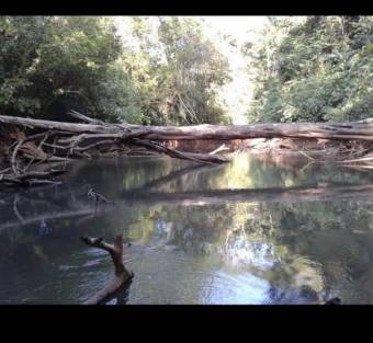 Vendo Finca en San Carlos