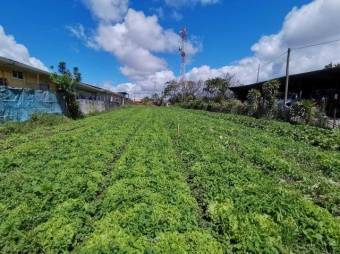 Venta de Lote en Dulce Nombre, Cartago. RAH 25-1081