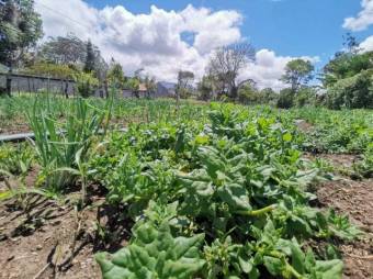 Venta de Lote en Dulce Nombre, Cartago. RAH 25-1081