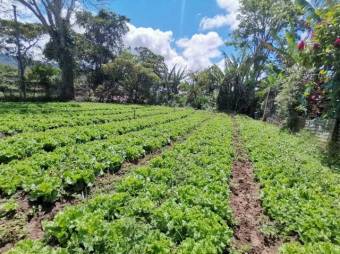 Venta de Lote en Dulce Nombre, Cartago. RAH 25-1081