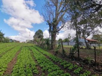 Venta de Lote en Dulce Nombre, Cartago. RAH 25-1081