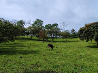 Quinta en Pueblo Nuevo de Agua Buena, Coto Brus, Puntarenas