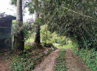 Quinta en Pueblo Nuevo de Agua Buena, Coto Brus, Puntarenas