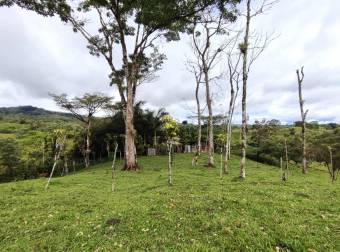 Quinta en Pueblo Nuevo de Agua Buena, Coto Brus, Puntarenas