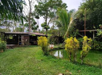 Quinta en Pueblo Nuevo de Agua Buena, Coto Brus, Puntarenas