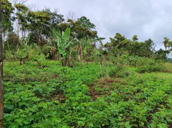 Quinta en Pueblo Nuevo de Agua Buena, Coto Brus, Puntarenas